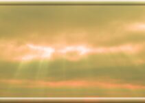 Thy Will Be Done Meaning | Handing Over Your Will To God